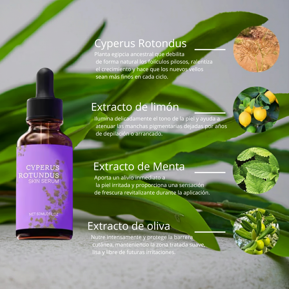 Sérum a base de Cyperus Rotundus